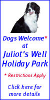 Dogs permitted at Juliot's Well Holiday Park, Camelford, Cornwall