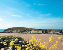 Another Porth beach