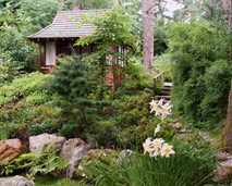 Cornish garden view