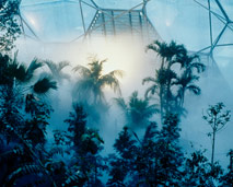 Eden Project