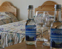 photo of Porth veor Manor Hotel standard twin