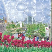 The Eden Project