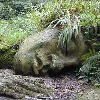 The Lost Gardens of Heligan