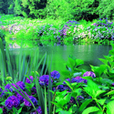 Juliot's Well Holiday Park, Camelford - Garden Breaks