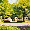 Juliot's Well Caravans, Camelford, Cornwall