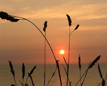 Sunset at a cornish beach