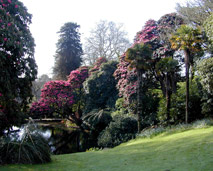 The Lost Gardens of Heligan