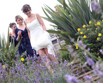 Wedding party at Porth Veor Manor Hotel