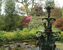 Trebah Gardens