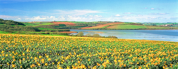 All Accommodation in Cornwall Available with Breaks in Cornwall
