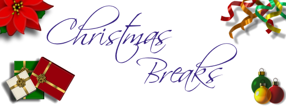 Christmas Breaks in Cornwall