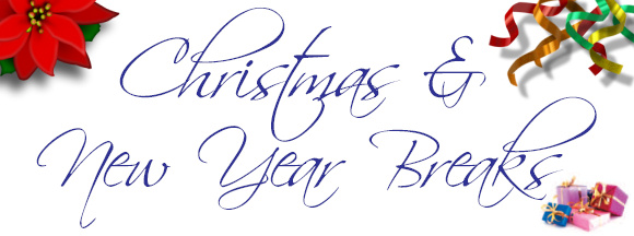 logo for Christmas & New Year Breaks in Cornwall