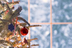 photo of christmas tree in a window