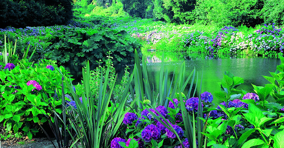 Garden Breaks in Cornwall