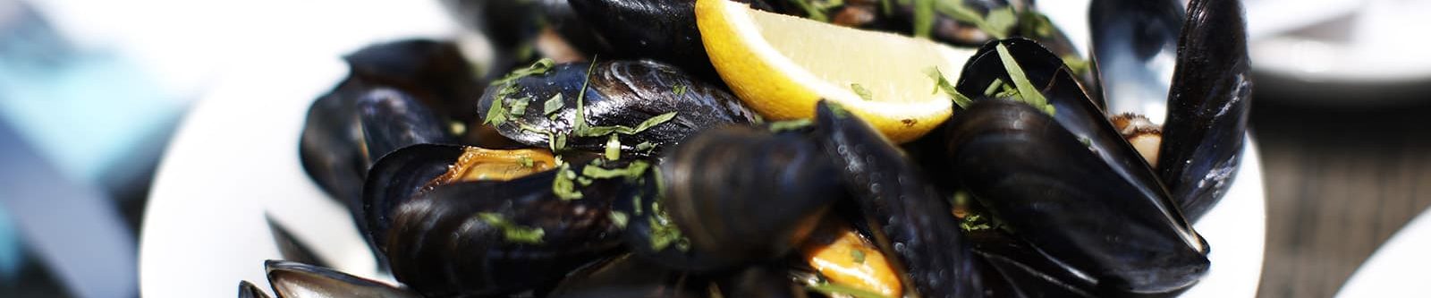 mussels