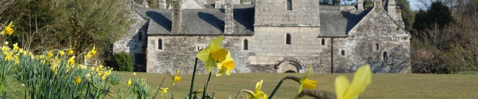 Cotehele house and garden at Springtime