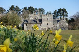 Cotehele house and garden at Springtime