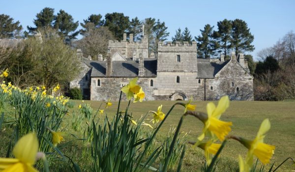 Cotehele house and garden at Springtime