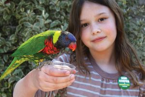 girl with Lorikeet