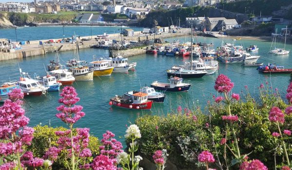 Newquay harbour and view