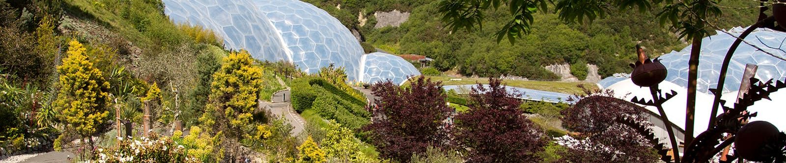 biomes at Eden