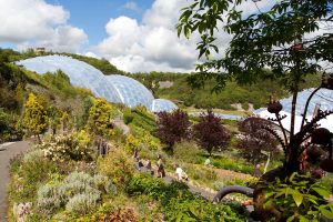 biomes at Eden