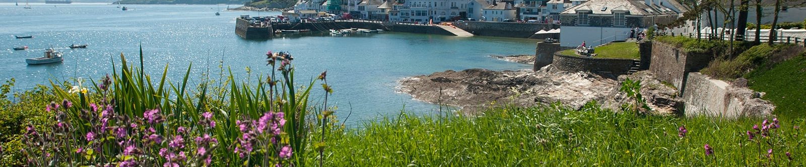 view to st mawes