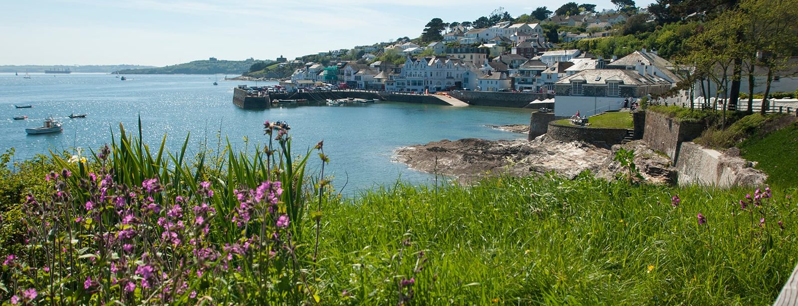 view to st mawes