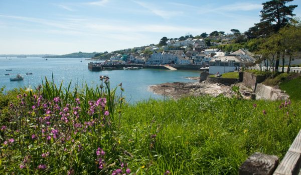 view to st mawes