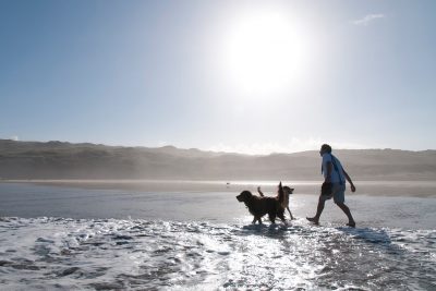 dog and man on beach