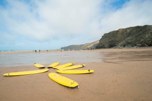 surf boards on beach