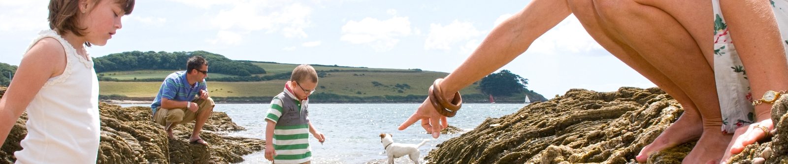 rock pool fun