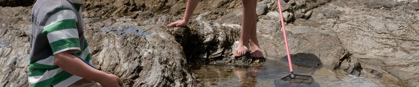 children rock pooling