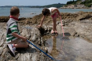 children rock pooling