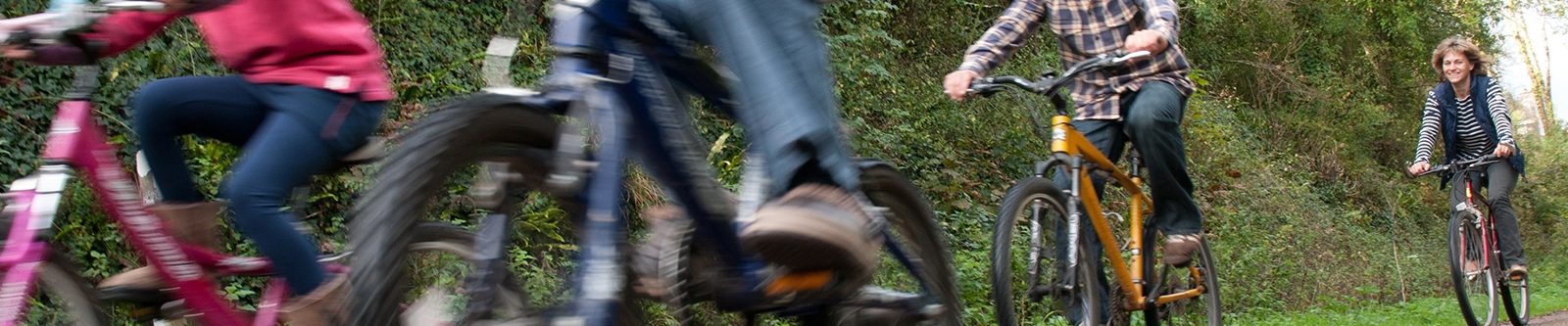 bikes on Camel Trail