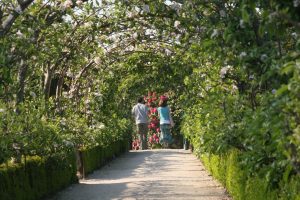 couple walking through apple arches