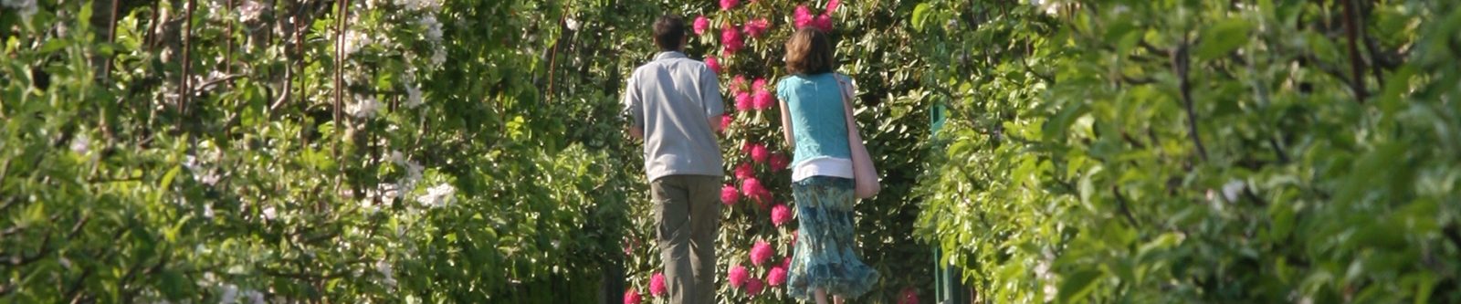 apple arches at heligan