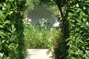 Italian garden