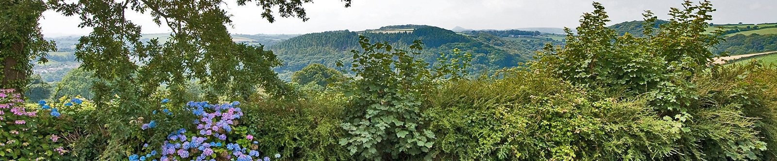 view from Green Acres Cottages