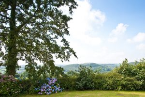 countryside views