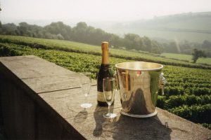 Camel Valley wine