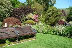 cottage garden