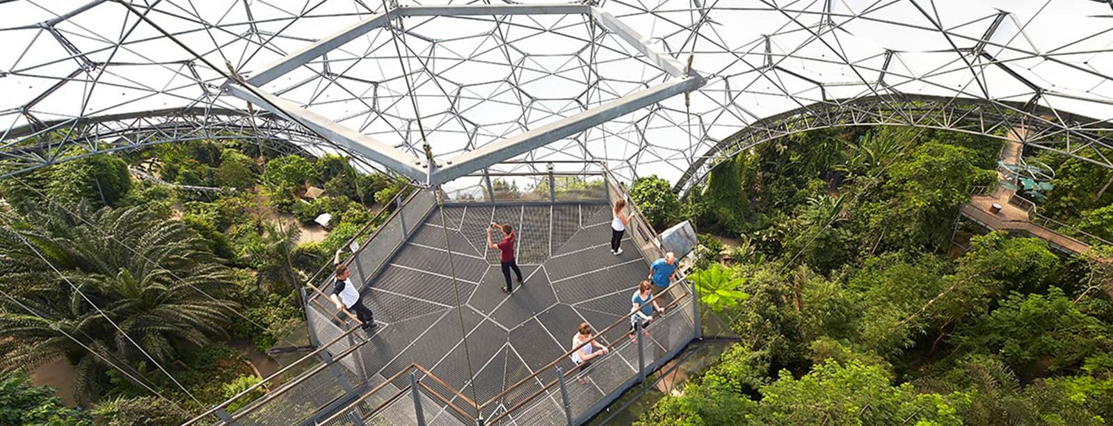 viewing platform at eden