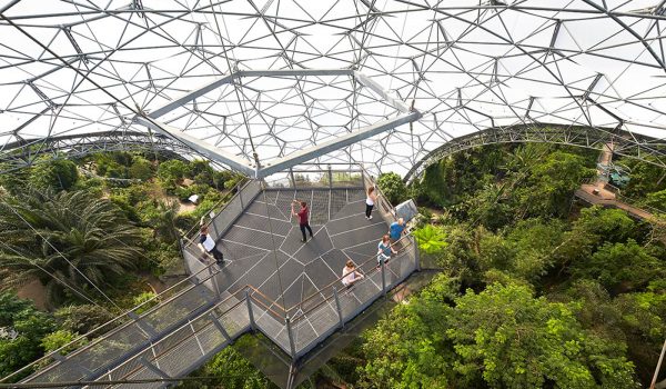 viewing platform at eden