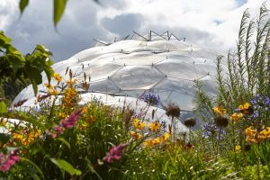 biomes and flowers