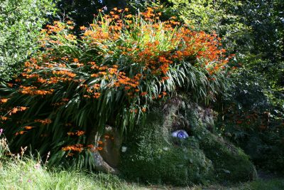 floral Giants Head