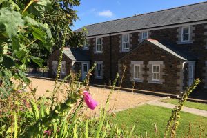 cottages and foxgloves