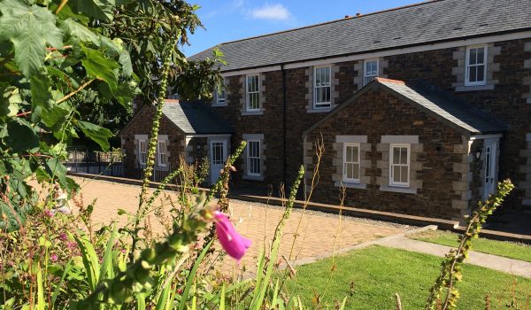 cottages and foxgloves