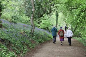 lost valley at Heligan