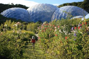 biomes in gardens